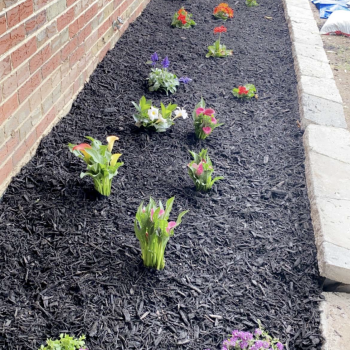 Newly installed flower bed with fresh mulch along a brick foundation