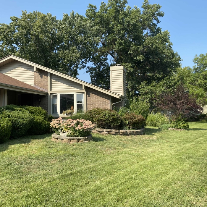 Freshly mowed front lawn with trimmed hedges in Florissant MO